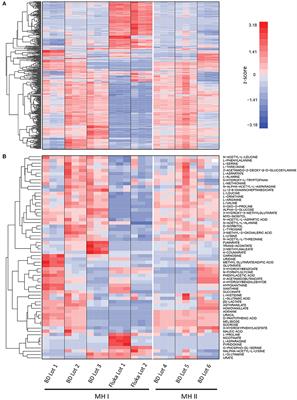 Biomarker enrichment medium: A defined medium for metabolomic analysis of microbial pathogens